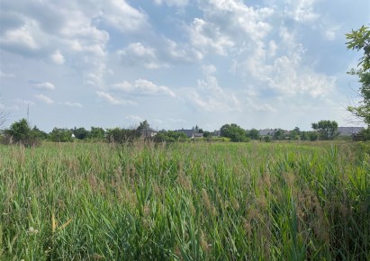 działka na sprzedaż - Sosnowiec